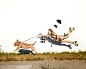 美国艺术摄影师Mike Dempsey的艺术概念摄影：被拉扯的重力