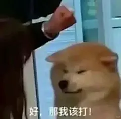 哄女朋友表情包更新一波！_4_恋爱天才BB猪_来自小红书网页版