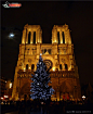 巴黎圣母院风光图片素材