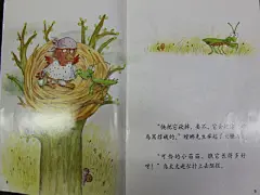 栽种树苗——绘本故事《鸟窝里的树》 - 小鱼不一般的日记-babytree 宝宝树