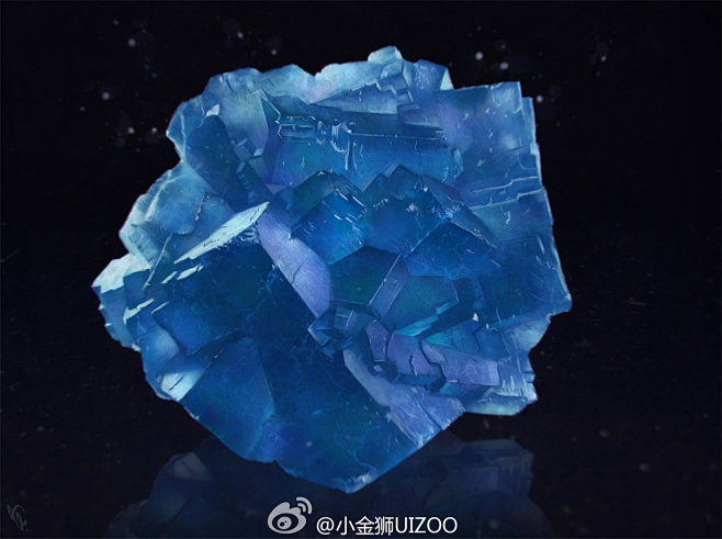 小金狮UIZOO的照片 - 微相册