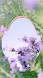 春天夏天春季夏季清新通用紫色紫罗兰花卉实景背景