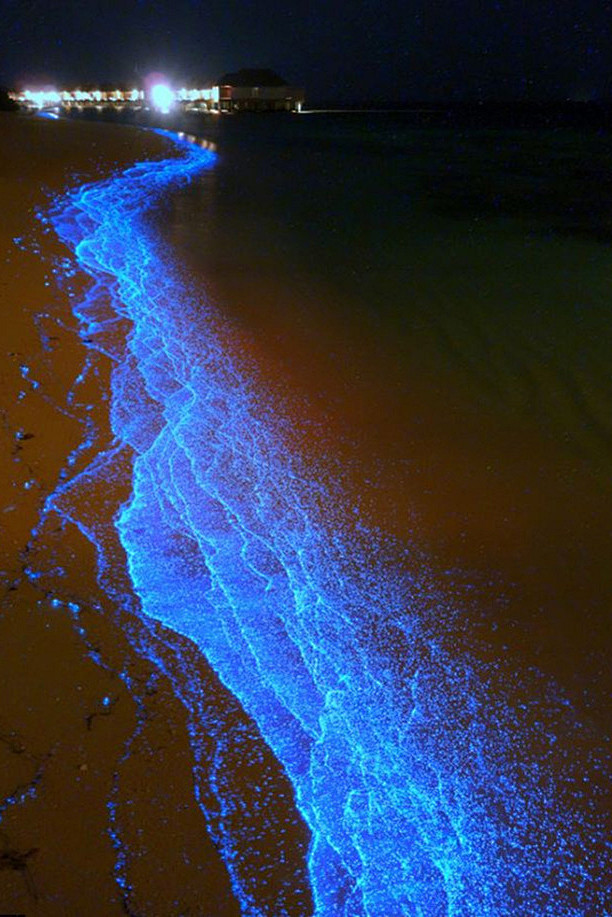 亚洲-荧光海滩：荧光海滩位于印度洋马尔代...