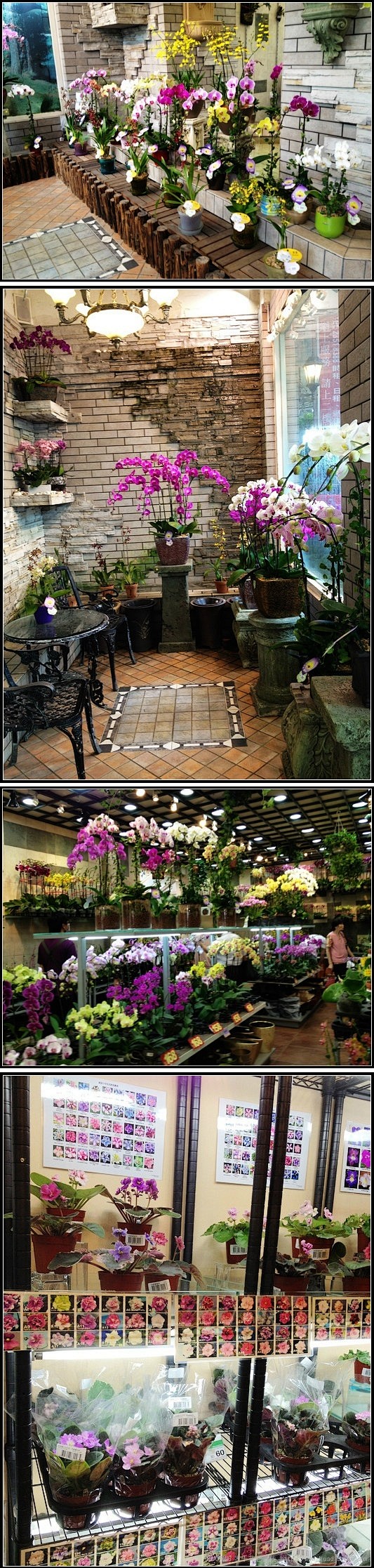 香港花店之旅—— 花墟道