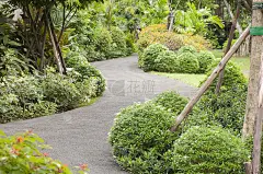 花园曲线步道