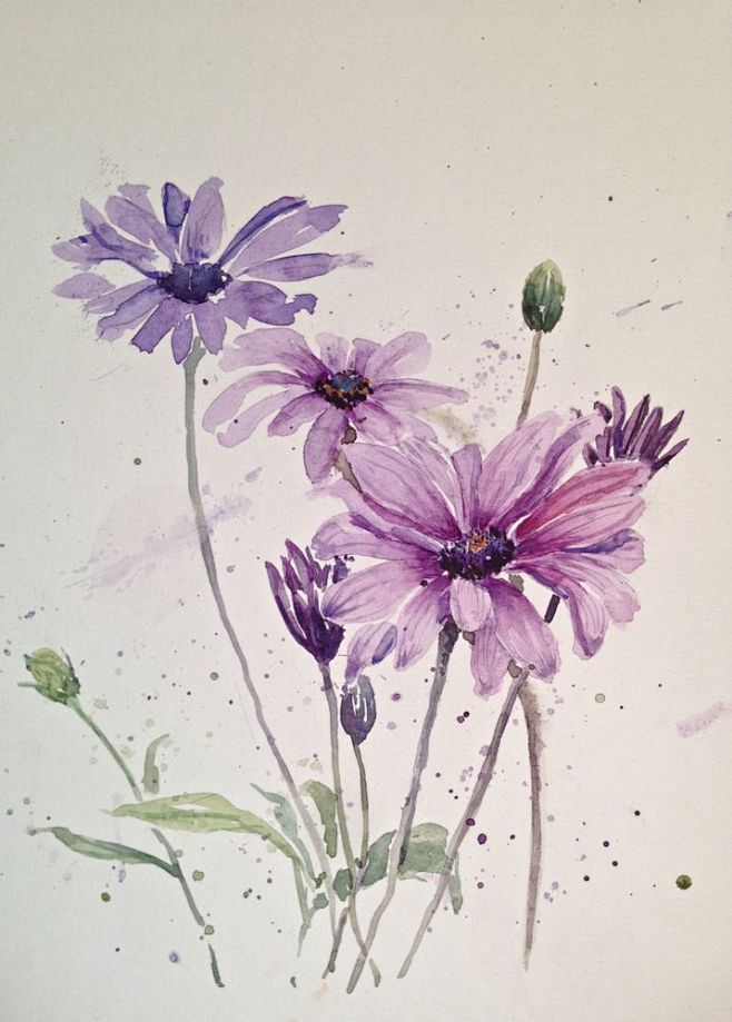 水彩花