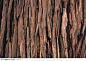 木纹板材机理效果-古老的树皮机理图片素材下载，现在加入素材公社即可参与传素材送现金活动