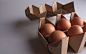 一款绿色环保的鸡蛋包装设计 - 中国包装设计网