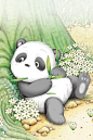 可爱|小熊猫|卡通|手机壁纸|可爱小熊猫卡通iPhone手机壁纸|640x960像素