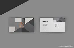 狮子logo设计//娱乐机构品牌设计案例/黑色vi设计