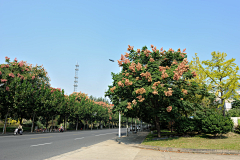 一而再再而三˙ϖ˙采集到B 街道、道路