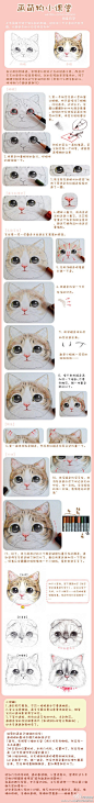 萌物小课堂——彩铅画猫步骤图～via:福阿包