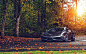 #Ferrari, #Ferrari F430, #cars, #leaves | Wallpaper No. 129397 - wallhaven.cc