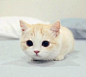 Try to forget…… [http://1758531975.qzone.qq.com]