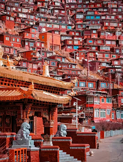 ~小迷糊~采集到繁华都市 人文掠影