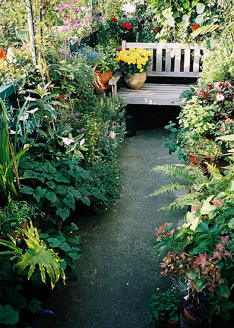 Balcony garden : Bal...