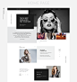 FASTION : This project is the concept web design with a fashion theme. FASTION is a fashion magazine brand in which target is women. Its contents are composed to be able to see information about lifestyle as well as fashion. And it designed with black-and
