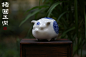 The year of  pig（猪圆玉润）, Zhelong Xu : My baby pig in Blue and white coming to the real world！(These are photos,Not CGI)
The original CG version is here:https://www.artstation.com/artwork/1nAAq