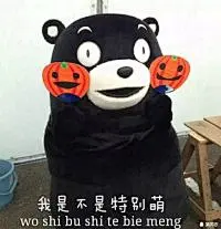 熊本表情包大集合-兴趣部落