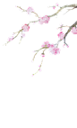 古风/女频/言情(370图)_@骄妹收集_花瓣平面