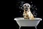 Bathtime by Pete Stubbs on 500px
