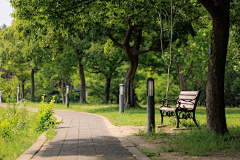 小豆菌采集到首尔国立大学