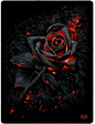 Spiral - Burnt Rose - Fleece Blanket with Double Sided Print: Amazon.co.uk: Kitchen & Home