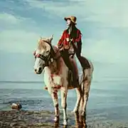 小小马就是小马