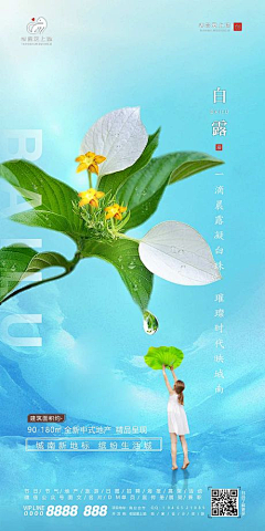 城雨落采集到白露【源文件design006.com】