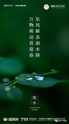 养牛喂猪采集到雨水