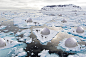 These Igloos designs for penguins rebuild polar ice caps to help fight the threat of global warming! | Yanko Design