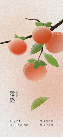 向亓采集到节日节气