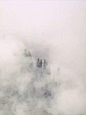 森林，迷雾 : 寂静的森林，弥漫的雾气，这是一个在沉睡中的世界。