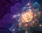 Radiant by katdesignstudio
#apophysis #apophysisflame #apophysisfractal #digital #digitalart #flower #flowers #flowersnature (show more)