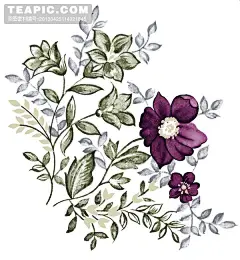 [手绘紫红色山茶花与灰色叶子]
