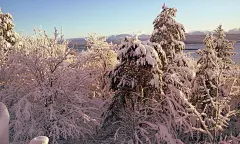 冬季雪景动态壁纸下载-唯美冬天雪景动态壁纸 - 未来Mac下载