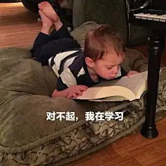 一条假笑男孩Gavin Thomas的表情包合集！祝大家小长假快乐~_手机搜狐网