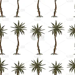 棕榈树,四方连续纹样,鸡尾酒,图像,壁纸,枝,小的,常绿树,叶子,绘制