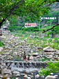 青岛美丽乡村计划✅夏日溯溪玩水的世外桃源