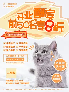 宠物商店海报寄养兽医狗猫粮食柯基美容