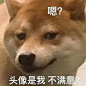 分享一些实用狗图 ​​​​