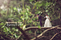 Prewedding Style Kontuelek EP.5 Archives - คนตัวเล็ก - Ekkachai Photograph