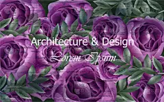 玫瑰,自然美,背景,紫色,华丽的,请柬,母亲,浪漫,壁纸,问候