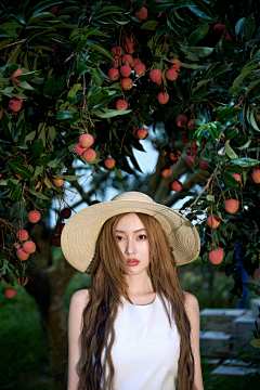 樊非凡采集到女