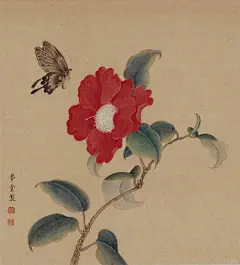 当白山茶烙上朱砂痣就变成了红山茶……_1_梦堂_来自小红书网页版