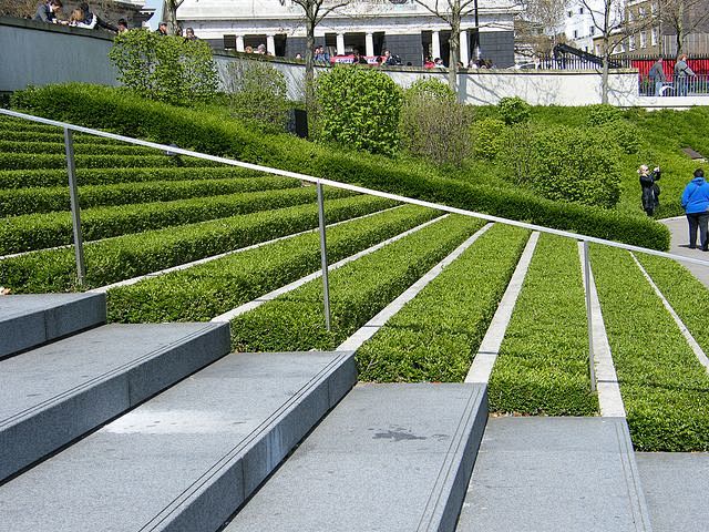 Grass Steps by mdtau...