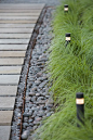Edge Detail contemporary landscape: 
