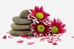 鹅暖石高清素材 化妆品海报素材 卡通石头 石头 石头元素 石子 花朵 鹅暖石素材 元素 免抠png 设计图片 免费下载 页面网页 平面电商 创意素材