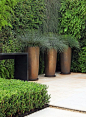 These three tall copper pots, planted with glaucous grasses, make an interesting focal point in a contemporary garden.