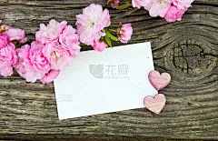 粉红色的花朵